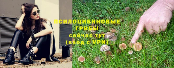 дживик Дмитриев