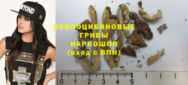 дживик Дмитриев