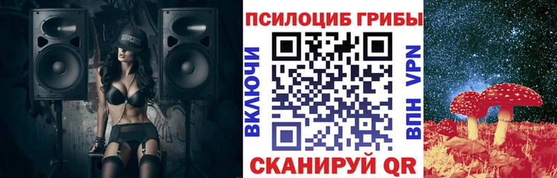 Псилоцибиновые грибы Cubensis Пикалёво